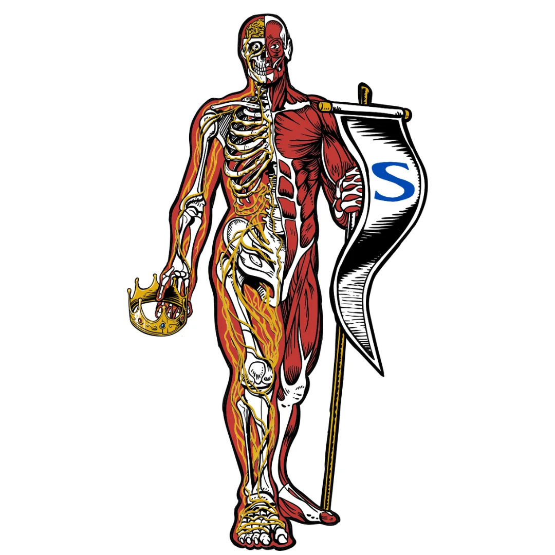 Il·lustració anatòmica de SOMA: figura dempeus amb l'estendard de la marca